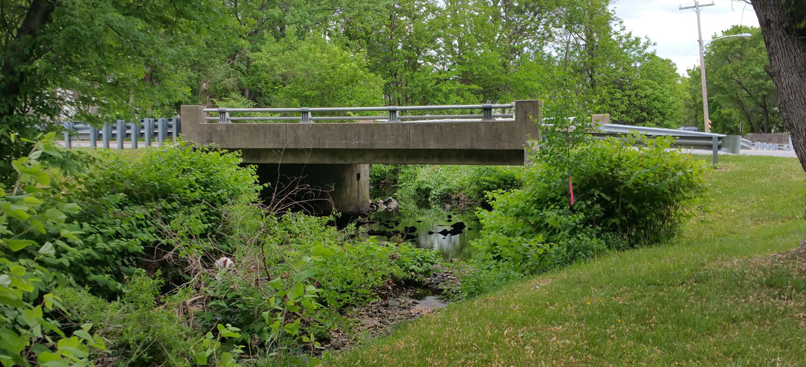 header-image-1170x533-bridges