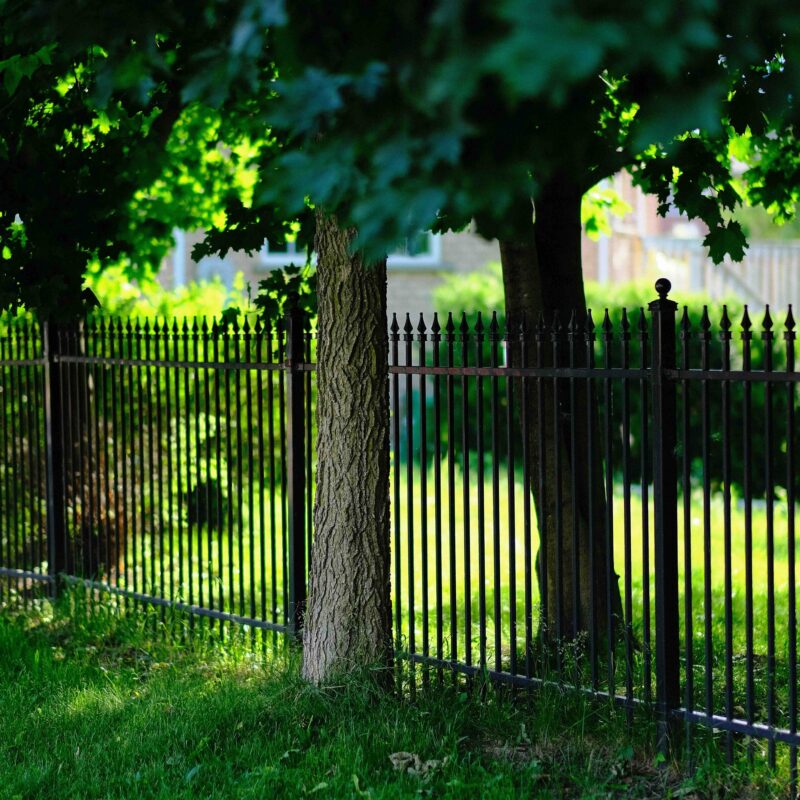 Iron Fence installed after boundary survey form Horizon Engineers