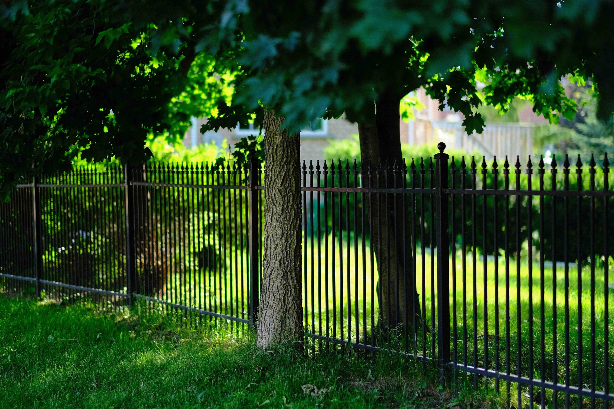 Iron Fence installed after boundary survey form Horizon Engineers